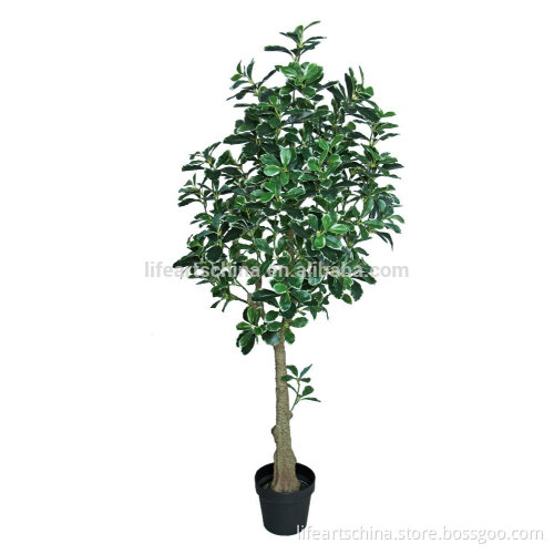 artificial tree 135cm polyscias tree green and white PE leaves